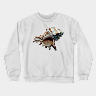 Dark grand conch seashell Crewneck Sweatshirt